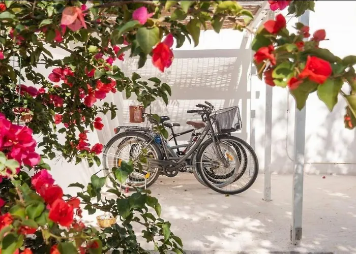 Dei Gelsi Holiday home